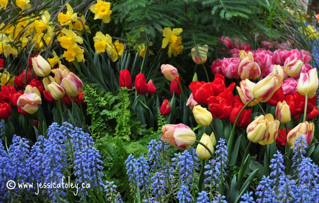 A Day In Photos City of Kingston Greenhouse Jess Foley Writer