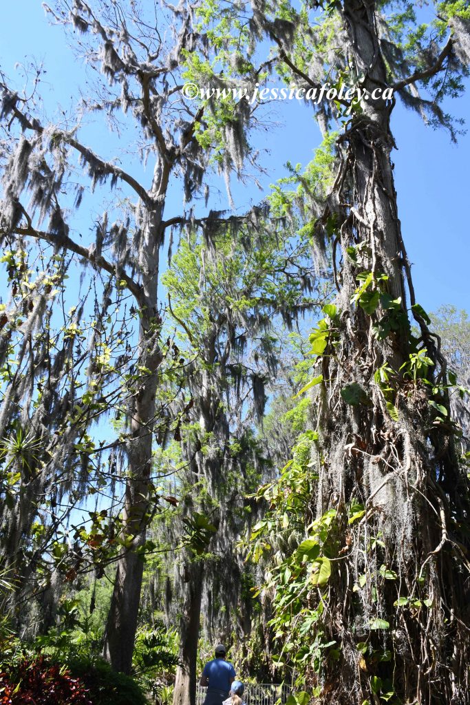 Cypress Gardens LEGOland Florida