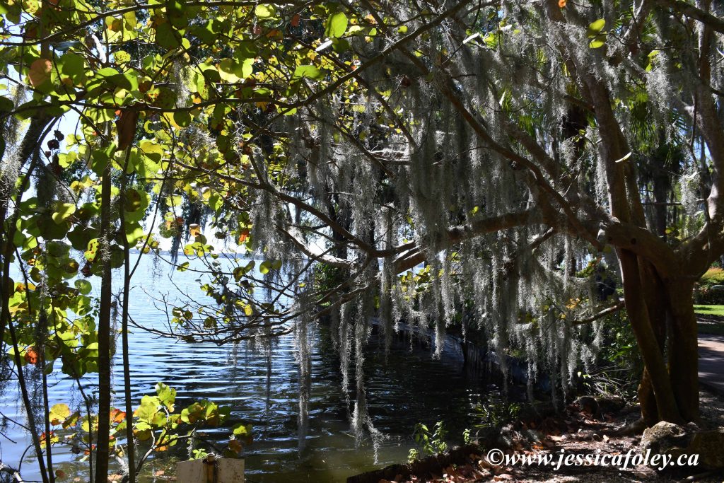 Cypress Gardens LEGOland Florida