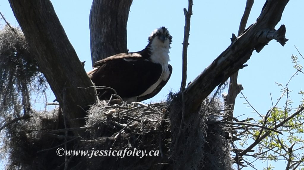 Cypress Gardens LEGOland Florida