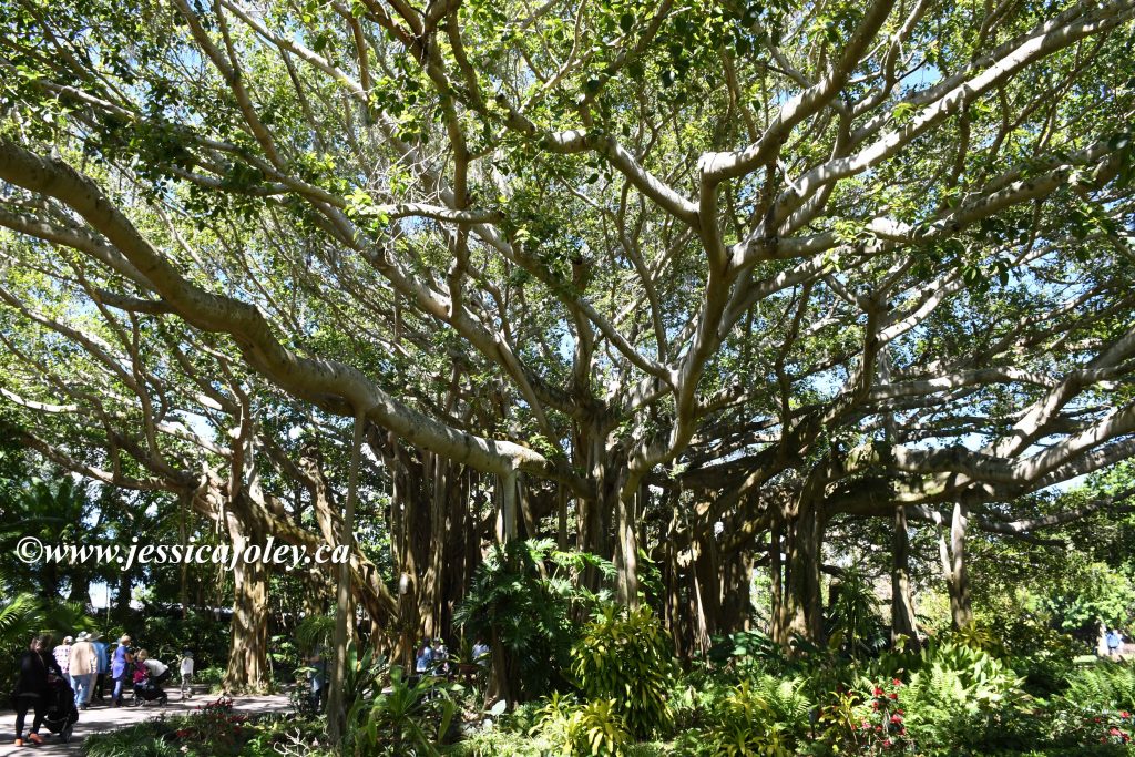 Cypress Gardens LEGOland Florida